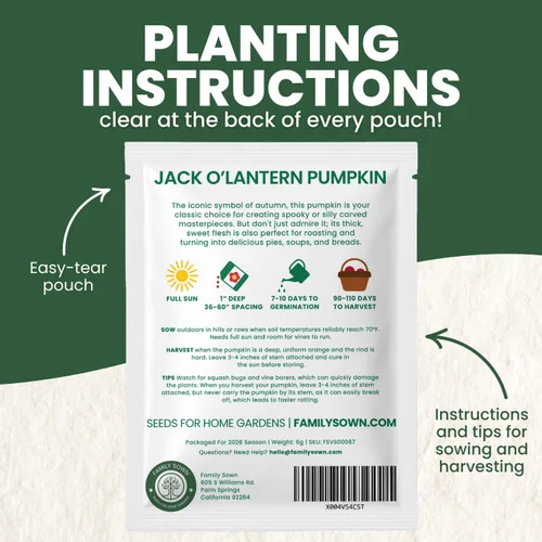 Miniatura 3 de Jack-O'-Lantern - Semillas de calabaza – 25 semillas premium para plantar – Talla clásica y cosecha de otoño variedad para la temporada 2026 – Bolsa