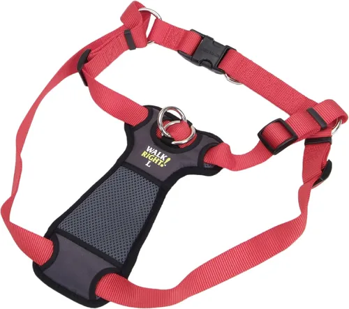 Miniatura 16 de Coastal Pet Walk Right - Arnés acolchado para perro con conexión frontal y sin tirones, ajustable y cómodo, ajuste para razas pequeñas y grandes