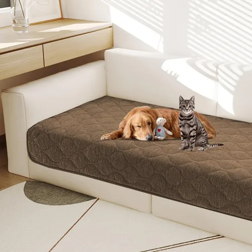 Miniatura 10 de Gollense Funda antideslizante para sofá para mascotas, funda acolchada de felpilla mullida para perros, lavable, protector suave y apto para Marfil