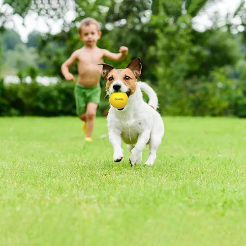 Miniatura 7 de Pelotas para perros indestructibles, de goma sólida para perros masticadores agresivos, de razas grandes, no tóxicas, flotantes y de alta Bolas