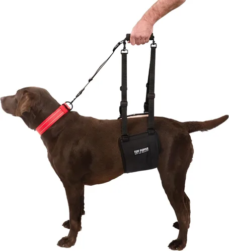 Tuff Pupper Arnés de cadera para perros | Soporte de elevación trasera para perros mayores y lesionados | Ayuda de movilidad ajustable | Mango