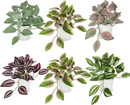 Miniatura 9 de Hollyone Plantas falsas, 2 paquetes de plantas artificiales de interior con maceta de plástico blanco, pequeña planta falsa en maceta para el hogar