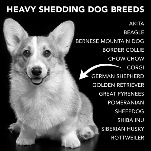 Miniatura 8 de Pride and Groom The Shedder Box Set – Champú y acondicionador para perros Deshedding con mezcla natural de aceites esenciales e ingredientes
