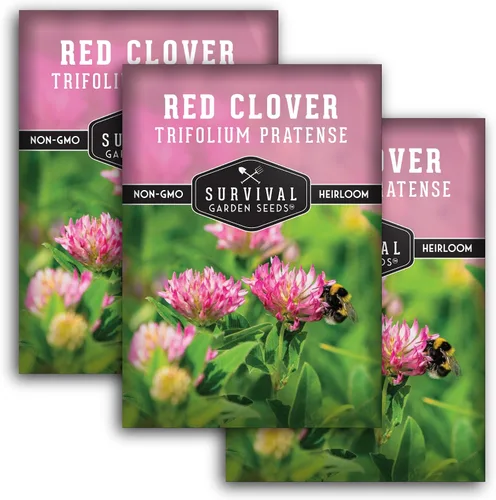 Miniatura 11 de Survival Garden Seeds - Semilla de trébol rojo para plantar - 1 paquete con instrucciones para plantar y cultivar una hierba medicinal y una