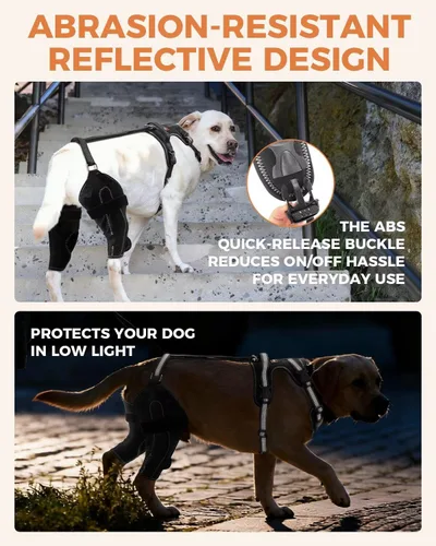 Miniatura 4 de Rodillera para Perro para Pata Trasera Rota ACL/CCL, Soporte Ajustable con Suficiente Envoltura y Apoyo para Luxación de Rótula, Rodillera