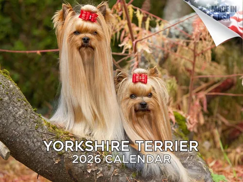 Miniatura 79 de Calendario 2025 2026 de cachorros Cocker Spaniel - Calendario mensual de pared de raza de perro - 12" x 24" abierto - Papel grueso sin sangrado