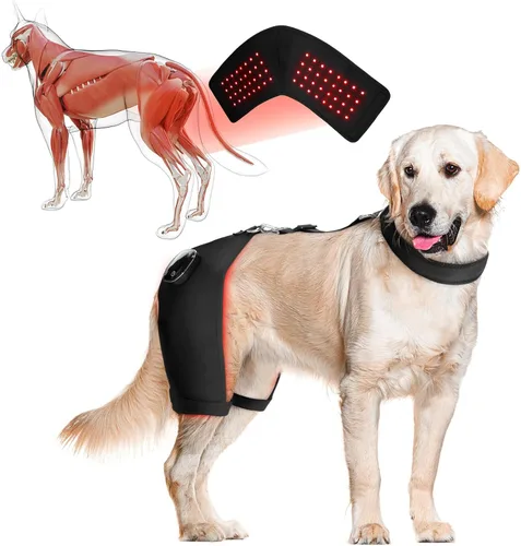 Miniatura 10 de Soporte de cadera para perro con terapia de luz infrarroja roja - Alivio del dolor para artritis, displasia de cadera, problemas de columna