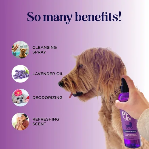 Miniatura 2 de Spray desodorizante de aceite de lavanda para perros y cachorros malolientes y spray calmante con aceite esencial de lavanda, desodorante