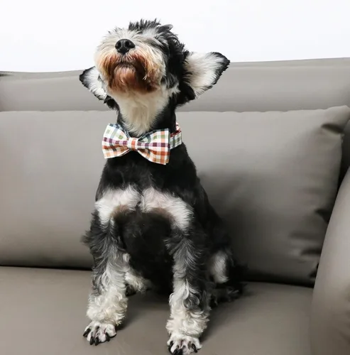 Miniatura 5 de Collar de perro de algodón con lazo floral a cuadros de Unique Style Paws, collar de perro colorido con lazo para perros pequeños, medianos y Plaid