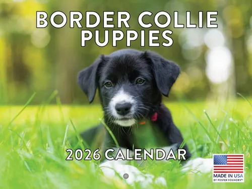 Miniatura 67 de Calendario de pared mensual 2025 Great Dane de 12 meses, fabricado en Estados Unidos