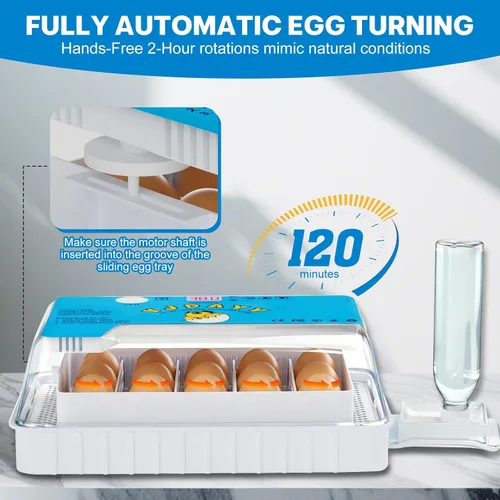 Miniatura 4 de Incubadoras para incubar huevos de 15 a 35 huevos con giro automático de huevos y pantalla de temperatura ℉ Incubadora LED de aves de corral