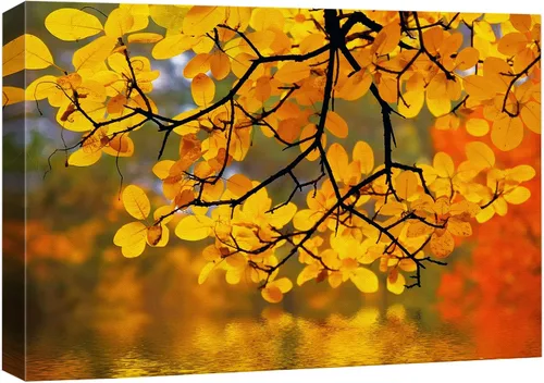 Miniatura 26 de Impresiones en lienzo para pared, hermoso paisaje/paisaje, puesta de sol sobre campo de trigo, arte moderno para decoración del hogar/arte de pared
