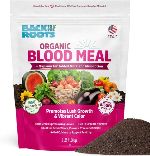 Back to The Roots Harina de sangre 100% orgánica | Fabricada en los EE. UU. | Nutrición premium para jardinería de plantas de interior y exterior