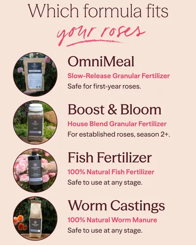 Miniatura 7 de Heirloom Roses Compost de menta, 100% natural, enmienda superior del suelo para plantar rosas, rico en micronutrientes y nitrógeno para verduras