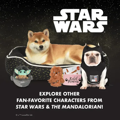 Miniatura 5 de STAR WARS FF19495 - Juguete chirriante para mascotas, peluche de Chewbacca Rebel y huevo de Pascua de 6 pulgadas, juguete relleno de Chewbacca