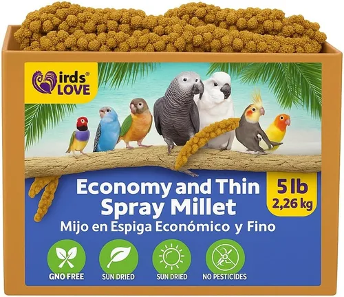 Miniatura 12 de Mijo en aerosol de 9 onzas para pájaros, sin OMG, sin tallos (solo tapas comestibles), 100% natural secado al sol para cacatúas, agapornitos