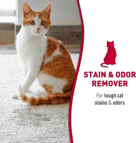 Miniatura 3 de Nature's Miracle Espuma eliminadora de manchas y olores para gatos, resistente a la orina de gato, heces, vómitos, babas y otras manchas y olores