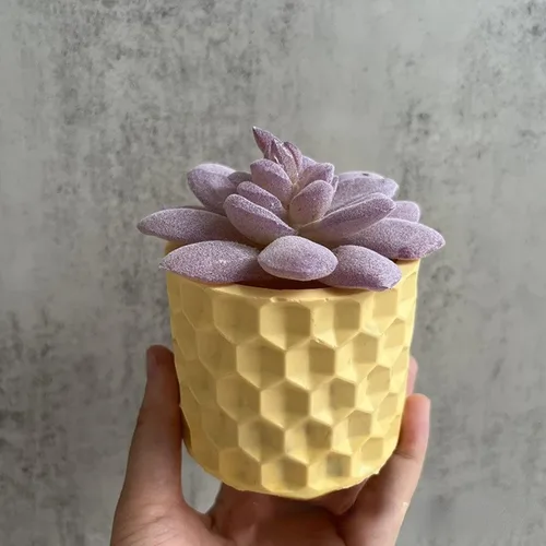 Miniatura 6 de Molde de Silicona Redondo de Panal de Abeja para Maceta de Hormigón, Molde de Jardinera de Suculentas, Molde de Cactus, Portavelas, Portaplumas