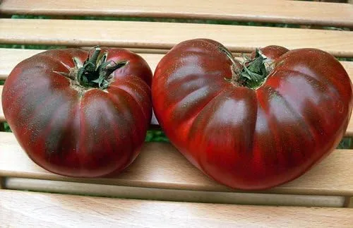 Miniatura 4 de Más de 30 semillas de tomate Paul Robeson, reliquia sin OMG, bajas en ácido, indeterminadas, polinizadas abiertas, sabor rico, de Estados Unidos