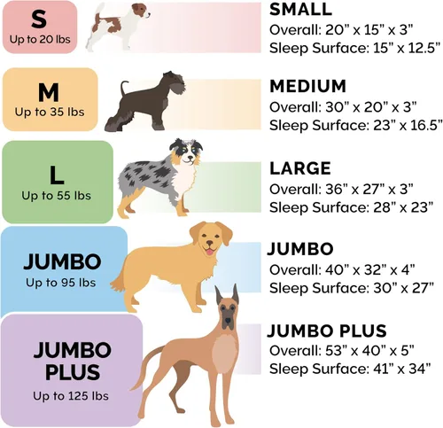 Miniatura 5 de Furhaven Pet – Sofá de felpa ortopédica para perro, cama con forma de L, tumbona ergonómica con contorno de cuna, cama para perros y gatos, varios
