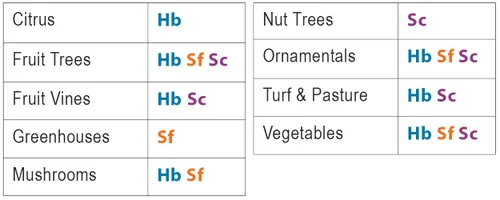 Miniatura 7 de Natures Good Guys - Nematodos beneficiosos Steinernema Feltiae - SF (5 millones)