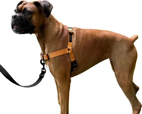 Miniatura 13 de ShawnCo Dream Walk Arnés para Perros Sin Tirones - Ajustable, Cómodo, Fácil de Usar, Cabestro para Mascotas para Ayudar a Detener los Tirones