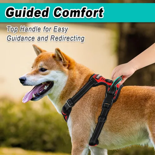 Miniatura 4 de BARKBAY Arnés para perro sin tirones para perros grandes, ajustable, reflectante, cómodo, sin estrangulamiento, resistente, perfecto para Rojo
