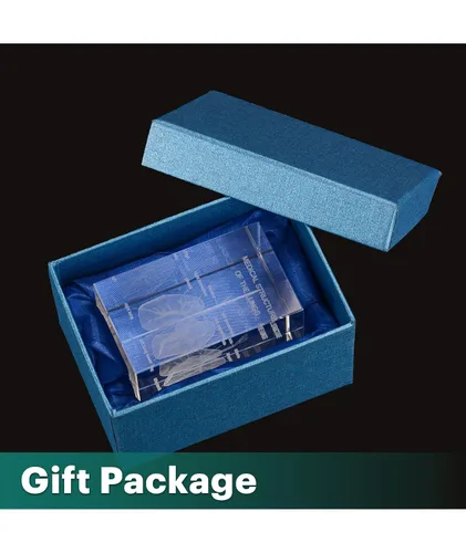 Miniatura 5 de Ultrassist Modelo 3D de Pulmón Humano de Cristal, Modelo Anatómico Grabado Láser para Decoración de Hogar y Oficina, Regalos para Neumólogos
