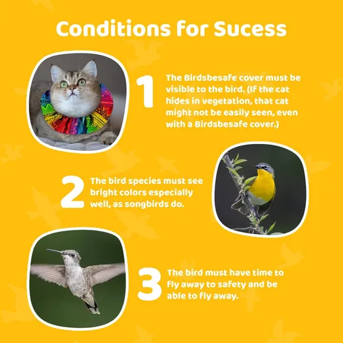 Miniatura 9 de Birdsbesafe® Funda para collar de gato para pájaros, collar de gato con advertencia de pájaros, científicamente probado para ayudar a evitar que tu