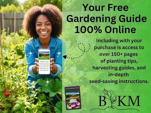 Miniatura 3 de B&KM Farms Más de 30,000 semillas de supervivencia Kit de suministro para más de 5 años. 50 semillas de frutas y verduras sin OMG para plantar un