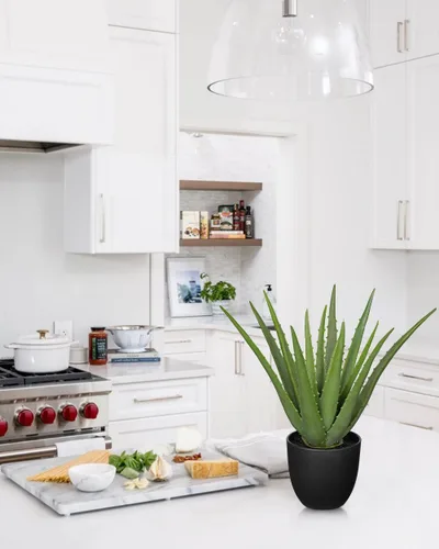 Miniatura 6 de GnFlus Plantas suculentas falsas de aloe vera de 13 pulgadas, suculentas artificiales grandes con maceta negra, planta de aloe sintético en maceta