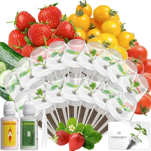 Miniatura 12 de Kit de cápsulas de semillas de hierbas gourmet compatible con AeroGarden, idoo, Ahopegarden, Gardencube con albahaca, perejil, tomillo, menta