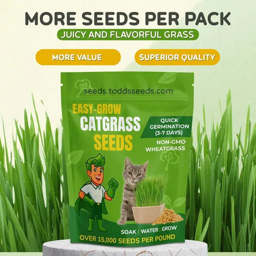 Miniatura 2 de Todd's Seeds – Hierba para gatos de interior o exterior, 1 libra de hierba de trigo – Premium, 100% libre de químicos (mejor que orgánico) sin GMO