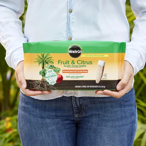 Miniatura 6 de Barras fertilizantes 100396 de Miracle-Gro para árboles frutales y cítricos, paquete de 12, 12