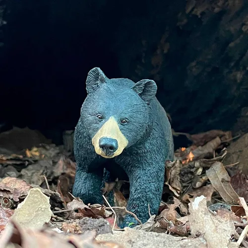 Miniatura 4 de Safari Ltd. Figura de juguete de oso negro de América del Norte, figura detallada de modelo de plástico de 7.4 pulgadas, divertido juguete educativo