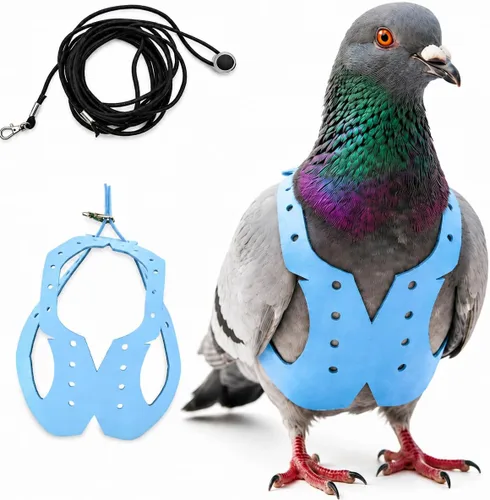 Miniatura 33 de Juego de arnés ajustable y correa para pájaros pequeños, apto para periquitos, conures, cacatúas, mejillas verdes, loros cuáqueros (verde, XS) 6350-6