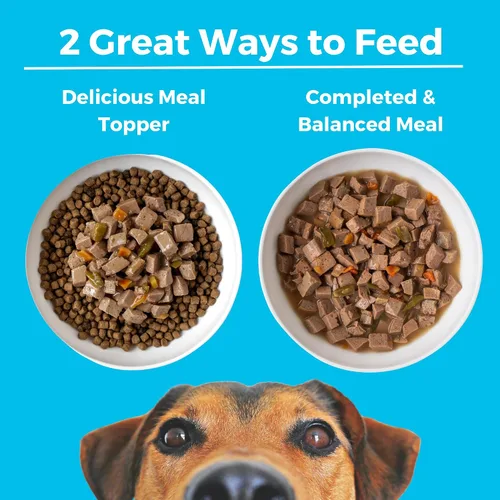 Miniatura 5 de KOHA Greek Island - Estofado a la parrilla para perros con pollo y cordero, comida húmeda para perros con alto contenido de proteínas, latas de 12.7