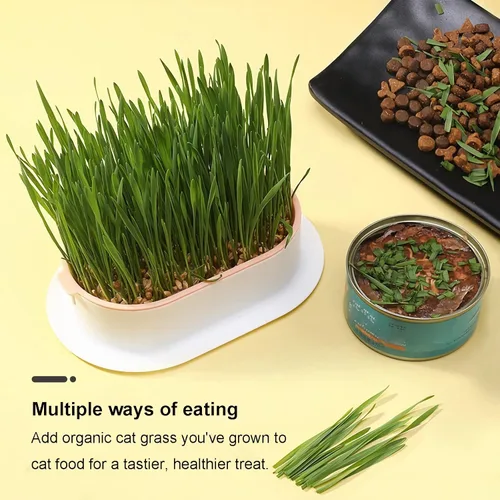 Miniatura 8 de Juego de 3 Macetas para Hierba de Gato, Bandeja de Brotes de Semillas de Hierba de Gato y Hierba de Trigo, Kit de Cultivo de Hierba para Gatos, Caja
