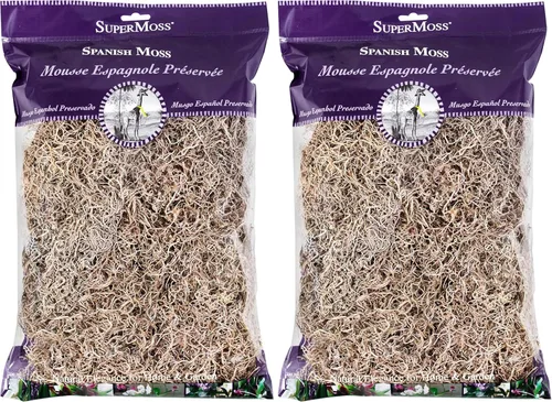 SuperMoss (26911 Musgo Español Seco, Natural, 8 Onzas (Paquete de 2)