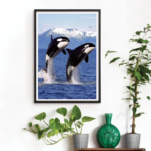 Miniatura 3 de DVWIVGY Pintura con diamantes, ballena asesina, orca, azul, océano, animales, pintura de diamantes por números, arte de gemas para decoración