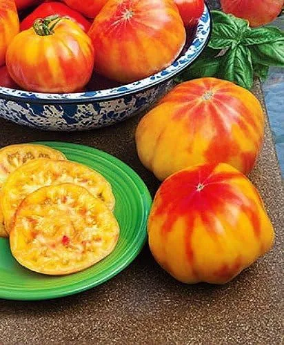 Miniatura 5 de Más de 30 semillas gigantes de tomate Mr. Stripey de 1-2 libras, sin OMG, bajas en ácido, indeterminadas, polinizadas abiertas, sabor rico
