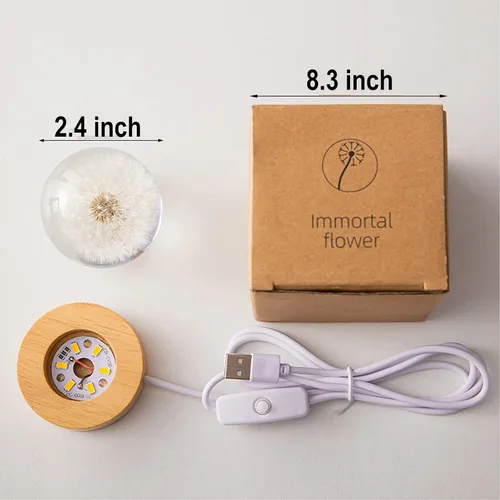 Miniatura 5 de Luz nocturna de bola de cristal de flores, lámpara de noche de bola de vidrio de 2.4 pulgadas con base de madera (diente de león)