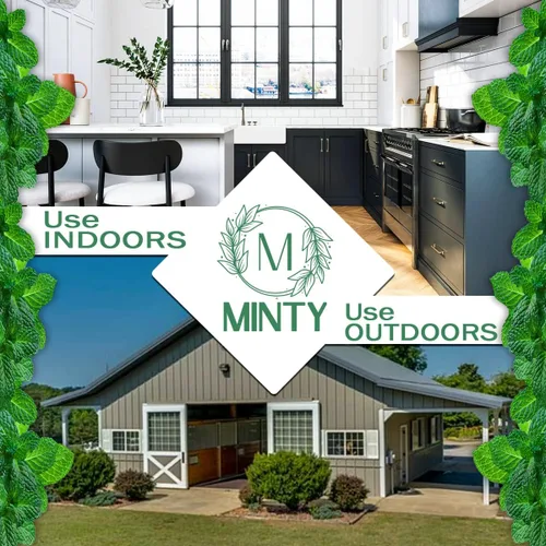 Miniatura 7 de Minty Repelente de roedores, espray de aceite de menta natural al 5% para ratones, ratas, ardillas y roedores, en interiores y exteriores, uso