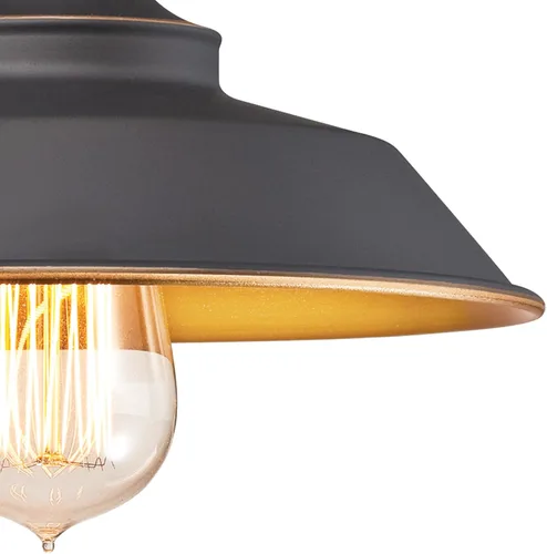Miniatura 3 de Westinghouse Lighting 6344700 - Lámpara de techo, diseño para un foco., 6344900