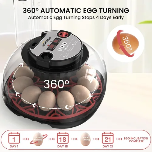 Miniatura 5 de Incubadora de 12 huevos para incubar huevos de pollo, codorniz/pato, giro automático, control digital de humedad/temperatura, vela LED, recarga Onyx