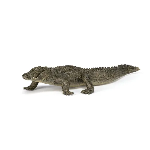 Miniatura 6 de Papo - Figura realista de cocodrilo - A partir de 3 años - Colección Wild Life - Reptiles educativos de pantano - Juguete de idea de regalo