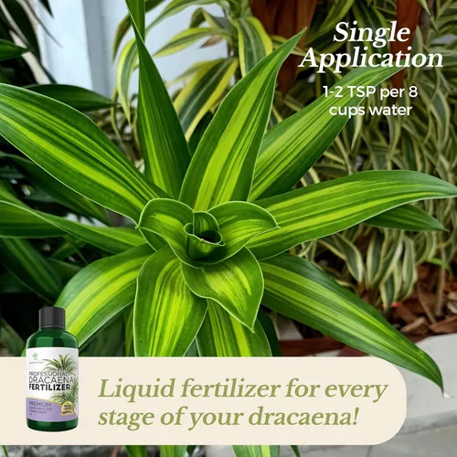 Miniatura 4 de Dracaena profesional fertilizante líquido 3-1-2 concentrado de 8 onzas, alimento líquido prémium para plantas de interior, fertilizante líquido