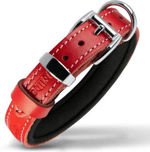 Miniatura 16 de Filbert Collar de cuero para perro, collar de cuero genuino para perros pequeños, estampado de patas en relieve con hebilla, grano completo curtido