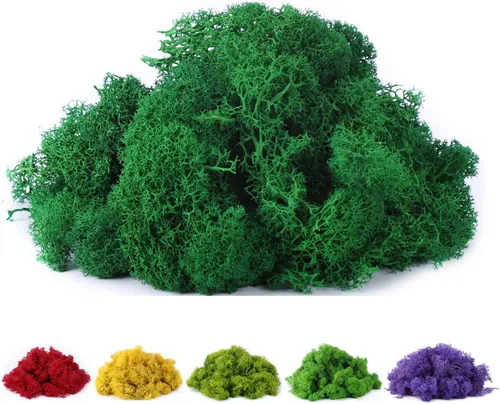 Miniatura 5 de Musgo de reno preservado de musgo falso de 3.5 onzas para plantas en maceta, artes y manualidades, terrarios, decoración de pared, centros de mesa