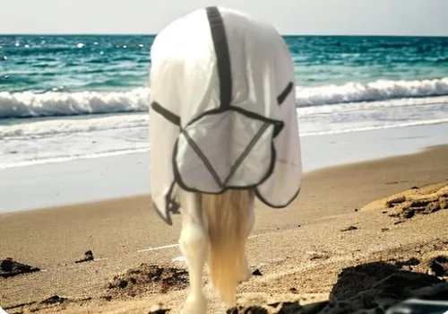 Miniatura 7 de Majestic Ally Sábana para mosca de caballo con cubierta para el cuello y máscara para la cabeza, protección transpirable contra los rayos UV